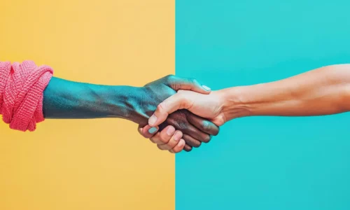 How to Start a White-Label SEO Partnership the Right Way